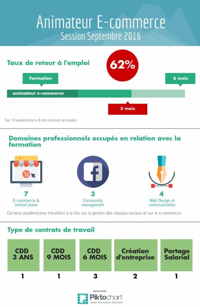 infographie_animateur_e-commerce_2016