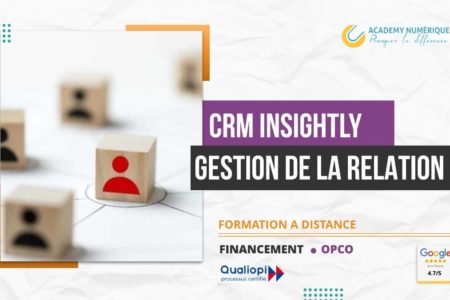 CRM INSIGHTLY GESTION DE LA RELATION CLIENT
