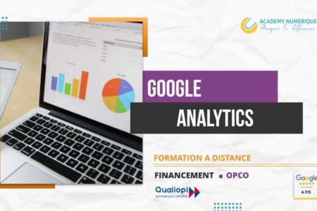 GOOGLE ANALYTICS ANALYSER LE TRAFIC DE SON SITE INTERNET