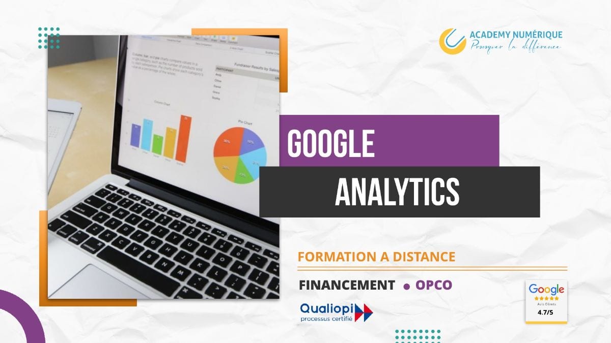 GOOGLE ANALYTICS : ANALYSER LE TRAFIC DE SON SITE INTERNET