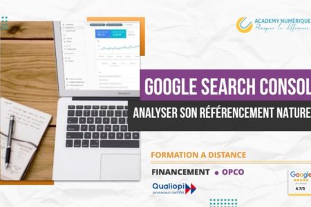 GOOGLE SEARCH CONSOLE ANALYSER SON RÉFÉRENCEMENT NATUREL