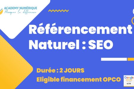 Formation-Referencement-Naturel-SEO