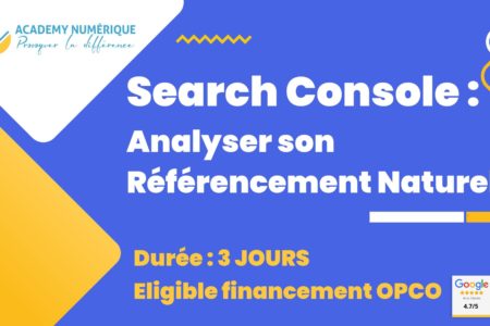 Formation-Search-Console-Analyser-son-Referencement-Naturel