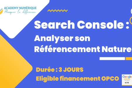 Formation-Search-Console-Analyser-son-Referencement-Naturel