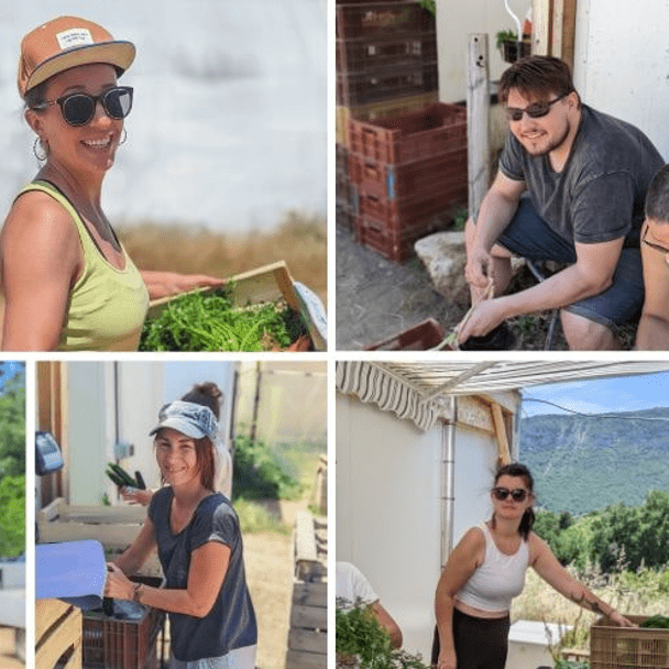 journée de solidarité chez Academy Numerique